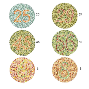 Colour Blindness